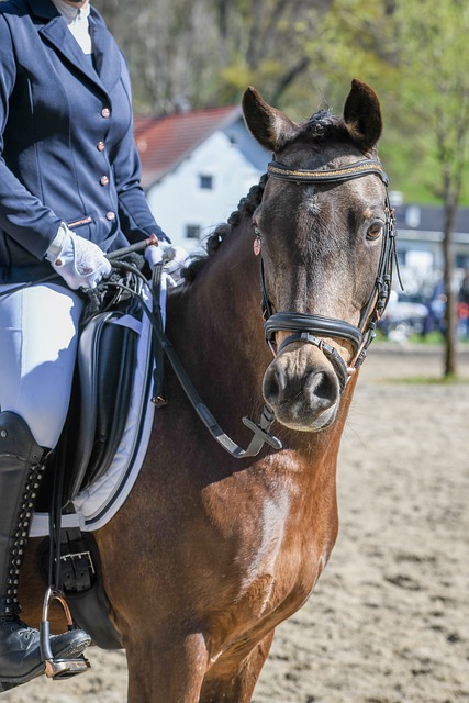 综合考虑使 综合考虑使